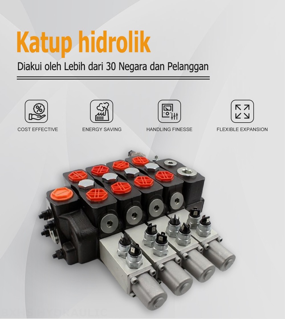 DLS180 Micro Switch Buku Panduan 4 Spul Kran Arah Bagian